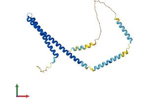 AlphaFold protein structure predicition of Mouse Recombinant Chmp4c Protein, UniprotID Q9D7F7