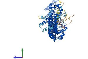AlphaFold protein structure predicition of Human Recombinant ASB15 Protein, UniprotID Q8WXK1 (ASB15 Protein (AA 1-588) (His tag))