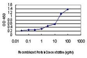 Detection limit for recombinant GST tagged EDN1 is approximately 0. (Endothelin 1 antibody  (AA 113-212))