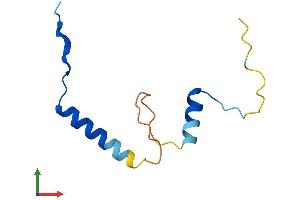 AlphaFold protein structure predicition of Mouse Recombinant Cdc26 Protein, UniprotID Q99JP4