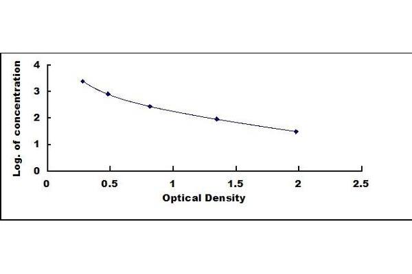 Dihydrotestosterone ELISA Kit