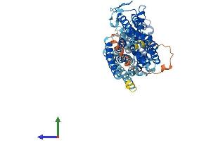 Protein Structure (PS) image for High Affinity Choline Transporter (ChT) (AA 1-580) protein (His tag) (ABIN7558596)