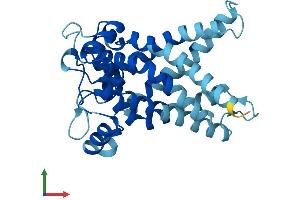 Protein Structure (PS) image for Solute Carrier Family 25, Member 35 (SLC25A35) (AA 1-300) protein (His tag) (ABIN7545939)