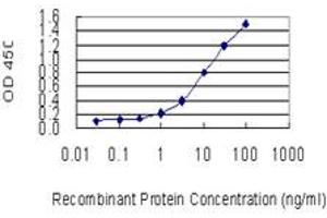 Detection limit for recombinant GST tagged CLTB is 0. (CLTB antibody  (AA 1-211))