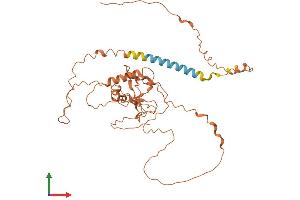 AlphaFold protein structure predicition of Human Recombinant FAM157B Protein, UniprotID P0CG42 (FAM157B Protein (AA 1-384) (His tag))