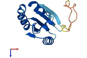 Protein Structure (PS) image for Thioredoxin Domain Containing 8 (Spermatozoa) (TXNDC8) (AA 1-127) protein (His tag) (ABIN7544913)