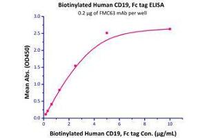 Immobilized FMC63 mAb at 2 μg/mL (100 μL/well) can bind Biotinylated Human CD19, Fc tag (Cat# CD9-H8259) with a linear range of 0.