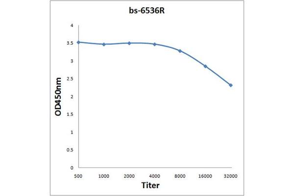 GCET2 antibody  (AA 31-130)