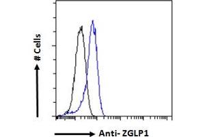 ABIN570846 Flow cytometric analysis of paraformaldehyde fixed K562 cells (blue line), permeabilized with 0. (ZGLP1 antibody  (Internal Region))
