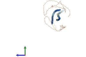 AlphaFold protein structure predicition of Mouse Recombinant Krt76 Protein, UniprotID Q3UV17 (Cytokeratin 2 Protein (AA 1-594) (His tag))