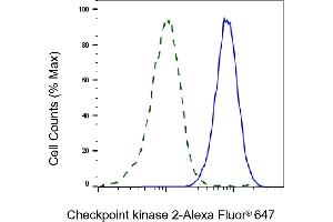 Flow cytometric analysis of Checkpoint kinase 2 expression in HAP-1 cells using Checkpoint kinase 2 antibody (ABIN7798040), 1:2,000). (Recombinant CHEK2 antibody)