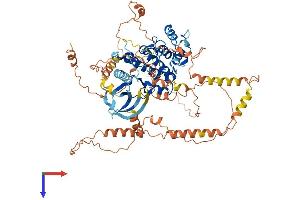 MAPK6 Protein (AA 1-721) (His tag)
