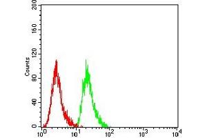 Flow cytometric analysis of Hela cells using MDM2 mouse mAb (green) and negative control (red). (MDM2 antibody  (AA 26-169))