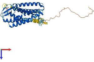 Angiotensin II Type-1 Receptor Protein (AA 1-359) (His tag)