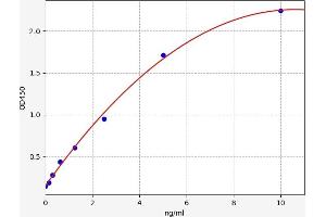 TFCP2 ELISA Kit