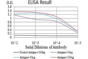 Black line: Control Antigen (100 ng);Purple line: Antigen (10ng); Blue line: Antigen (50 ng); Red line:Antigen (100 ng) (CD2 antibody  (AA 25-140))
