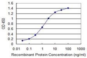 Detection limit for recombinant GST tagged RBM12 is 0. (RBM12 antibody  (AA 834-932))