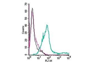 Cell surface detection of PAFR by direct flow cytometry in live intact human  megakaryoblastic leukemia cells: + Rabbit IgG isotype control-FITC.