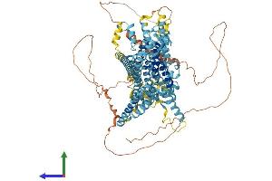 AlphaFold protein structure predicition of Human Recombinant TMC2 Protein, UniprotID Q8TDI7