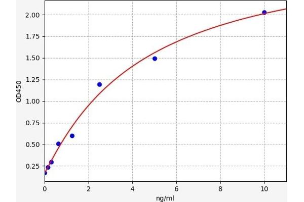 GALNT7 ELISA Kit