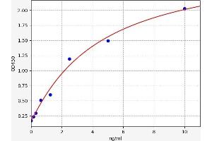 Typical standard curve (GALNT7 ELISA Kit)