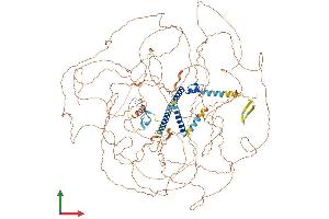 AlphaFold protein structure predicition of Human Recombinant ZNF804B Protein, UniprotID A4D1E1 (ZNF804B Protein (AA 1-1349) (His tag))