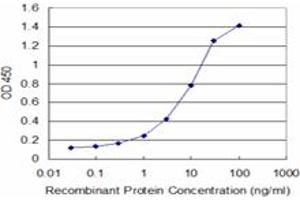 Detection limit for recombinant GST tagged XBP1 is approximately 0. (XBP1 antibody  (AA 123-225))