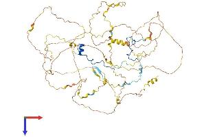 CASC3 Protein (AA 1-703) (His tag)