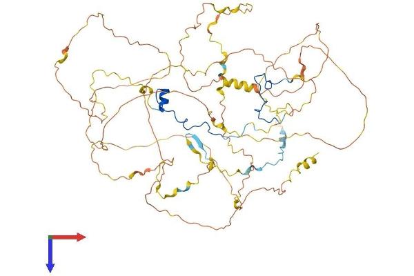 CASC3 Protein (AA 1-703) (His tag)