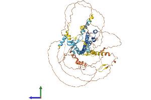 Protein Structure (PS) image for Nuclear Factor (erythroid-Derived 2)-Like 1 (NFE2L1) (AA 1-741) protein (His tag) (ABIN7563935)