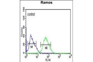 C10orf27 Antibody (C-term) (ABIN652633 and ABIN2842423) flow cytometric analysis of Ramos cells (right histogram) compared to a negative control cell (left histogram). (C10orf27 antibody  (C-Term))