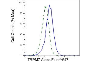 Validation of TRPM7 knockdown using flow cytometry.