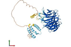 Protein Structure (PS) image for WD Repeat Domain 13 (WDR13) (AA 1-485) protein (His tag) (ABIN7545152)