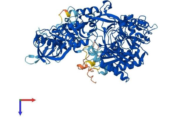 AGO4 Protein (AA 1-861) (His tag)