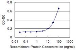 Detection limit for recombinant GST tagged SERPINI1 is 3 ng/ml as a capture antibody. (Neuroserpin antibody  (AA 17-410))