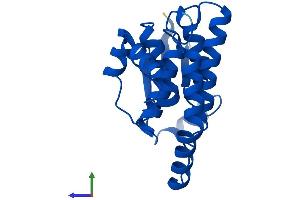 Protein Structure (PS) image for Hematopoietic Prostaglandin D Synthase (HPGDS) (AA 1-199) protein (His tag) (ABIN7561499)