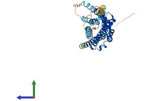 AlphaFold protein structure predicition of Mouse Recombinant Oprk1 Protein, UniprotID P33534 (OPRK1 Protein (AA 1-380) (His tag))