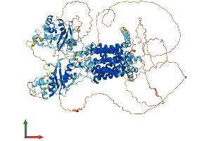 AlphaFold protein structure predicition of Mouse Recombinant Disp2 Protein, UniprotID Q8CIP5