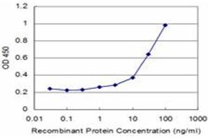 Detection limit for recombinant GST tagged TPD52 is approximately 1ng/ml as a capture antibody. (TPD52 antibody  (AA 100-184))
