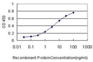 Detection limit for recombinant GST tagged WNK2 is approximately 0. (WNK2 antibody  (AA 2118-2217))