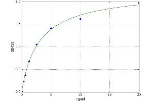 A typical standard curve
