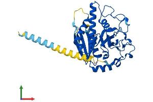 AlphaFold protein structure predicition of Mouse Recombinant Ggta1l1 Protein, UniprotID A2AUQ7