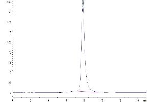 The purity of Mouse LIF is greater than 95 % as determined by SEC-HPLC. (LIF Protein (AA 25-203) (Fc Tag))