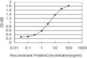 Detection limit for recombinant GST tagged ULK2 is approximately 0. (ULK2 antibody  (AA 743-843))