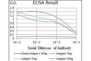 Black line: Control Antigen (100 ng), Purple line: Antigen(10 ng), Blue line: Antigen (50 ng), Red line: Antigen (100 ng), (VAV1 antibody  (AA 121-324))