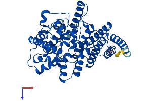 Transmembrane Protein 195 (TMEM195) (AA 1-447) protein (His tag)