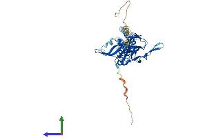 AlphaFold protein structure predicition of Human Recombinant KCNJ9 Protein, UniprotID Q92806 (KCNJ9 Protein (AA 1-393) (His tag))