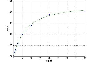 A typical standard curve