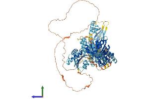 Protein Structure (PS) image for MutS Homolog 4 (E. Coli) (MSH4) (AA 1-958) protein (His tag) (ABIN7564906)