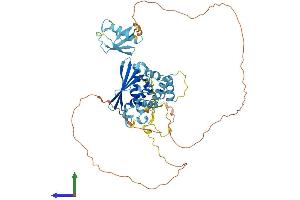 AlphaFold protein structure predicition of Human Recombinant FBXO7 Protein, UniprotID Q9Y3I1